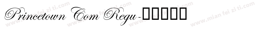 Princetown Com Regu字体转换